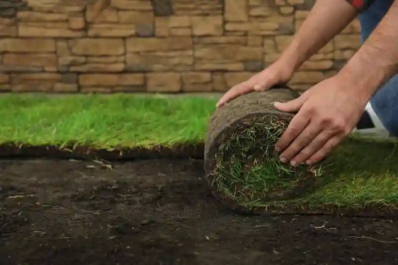 How long after installing sod can you walk on it in Indio, CA 