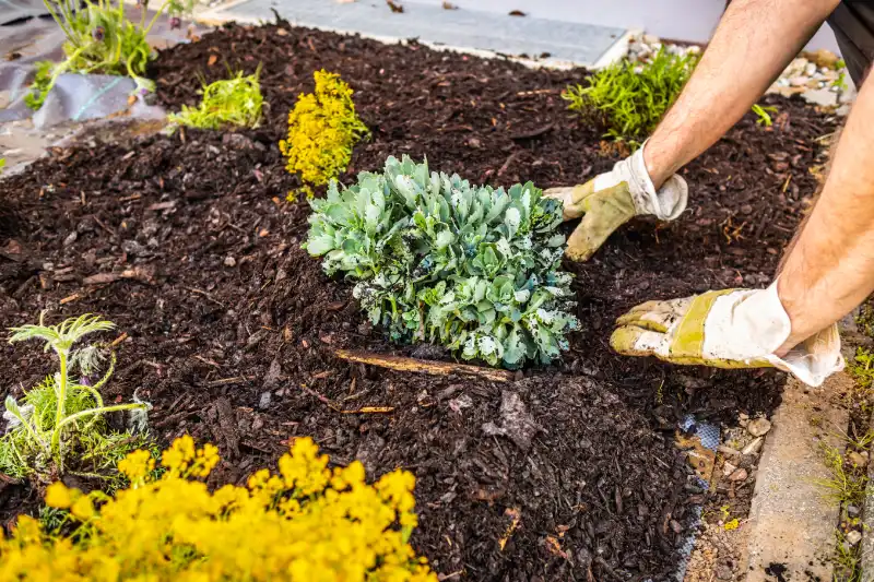 How long does mulch last in Indio, CA 