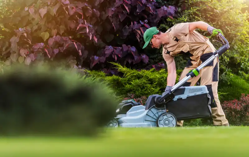 How to mow a lawn in Indio, CA 