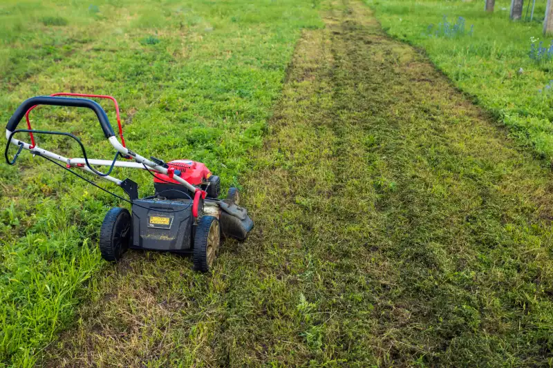 How to mow a lawn in Indio, CA 