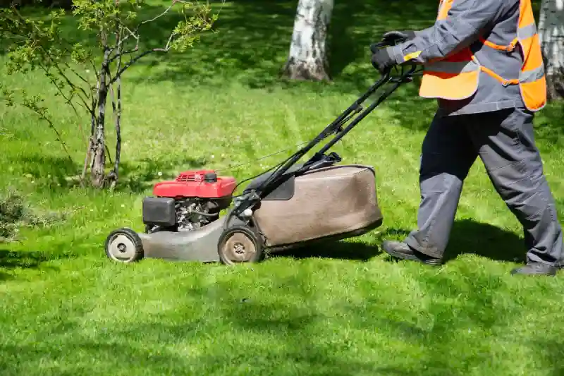 Professional Lawn Mowing Services in Indio, CA 