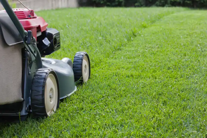 Reliable Lawn Mowing Services in Indio, CA 