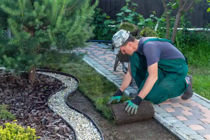 Professional Sod Installation Service in Indio, CA 