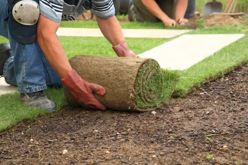 Reliable Sod Installation Service in Indio, CA 