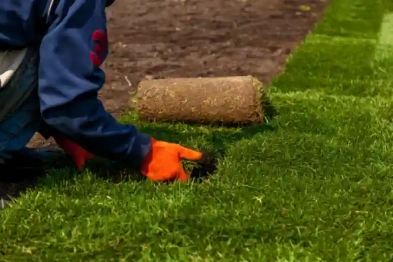 Outstanding Sod Installation Service in Indio, CA