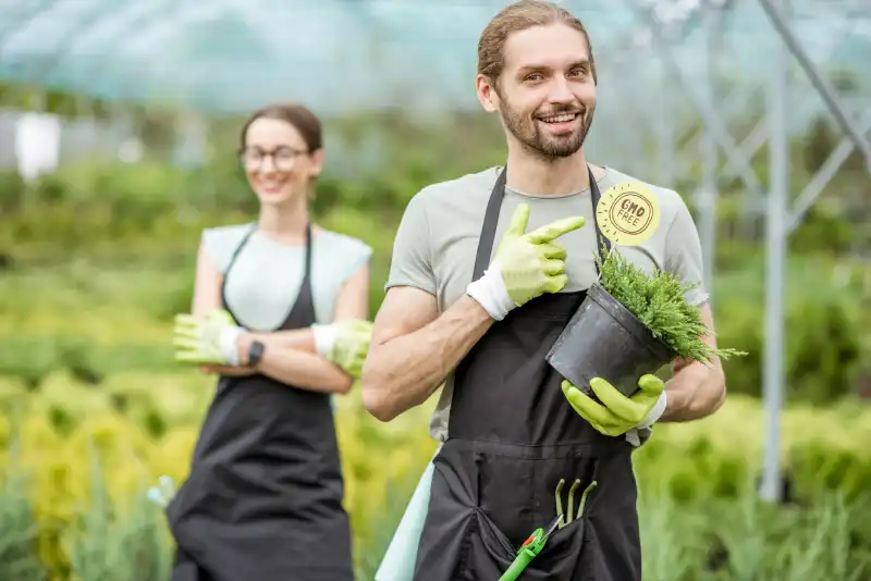 When is the best time to fertilize your lawn in Indio, CA 