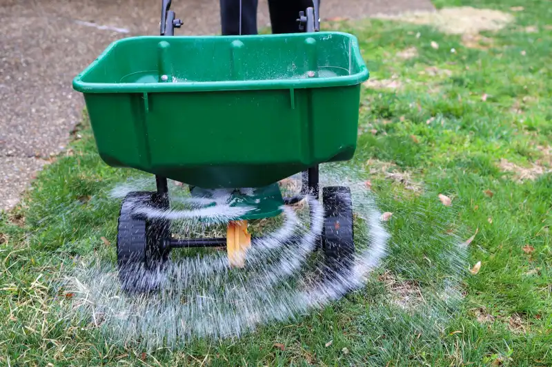 When is the best time to fertilize your lawn in Indio, CA 