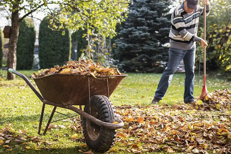 Professional Yard cleanup Service in Indio, CA 