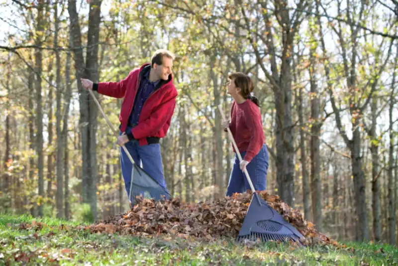 Outstanding Yard cleanup Service in Indio, CA 